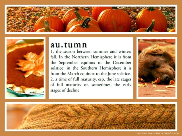 just-autumn-things