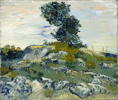 fravery:V.van Gogh, The Rocks (1888) The Museum of Fine Arts...