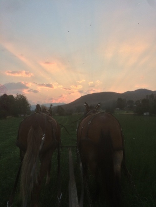 5ifty2:Nice way to spend the evening.. mowing hay with a good...