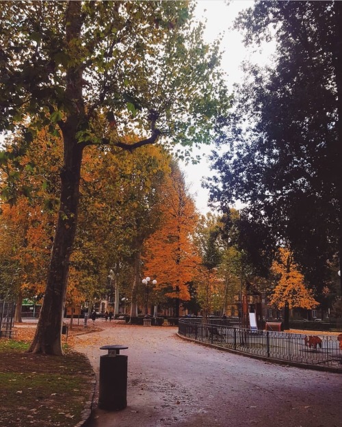 theautumnalgirl