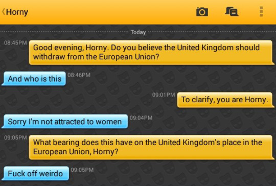 Me: Good evening, Horny. Do you believe the United Kingdom should withdraw from the European Union?
Horny: And who is this
Me: To clarify, you are Horny.
Horny: Sorry I'm not attracted to women
Me: What bearing does this have on the United Kingdom's place in the European Union, Horny?
Horny: Fuck off weirdo