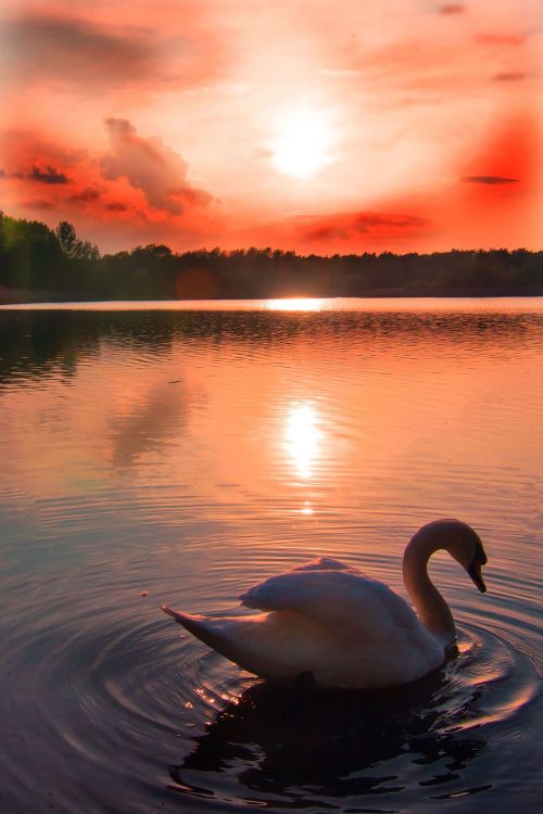 Puestas De Sol - Compartir Imagenes