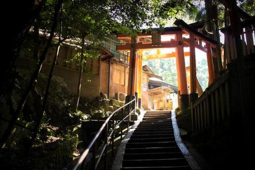 japanpix:Torii at Fushimi Inari, Kyoto [OC]