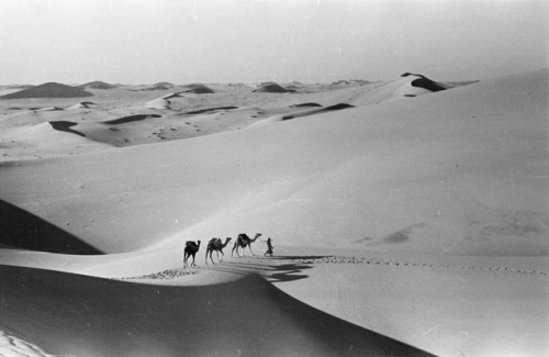 tanyushenka:Empty Quarter, Saudi Arabia, 1948