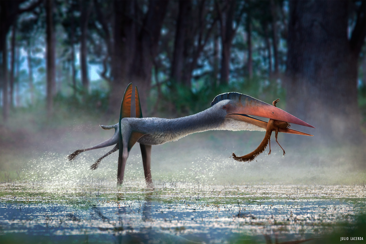 pterosaurs