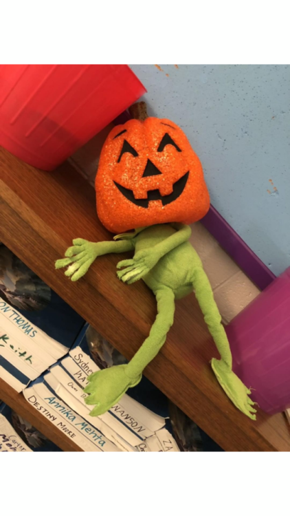 publicschoolstories:Someone brought in a Kermit and now everyday...