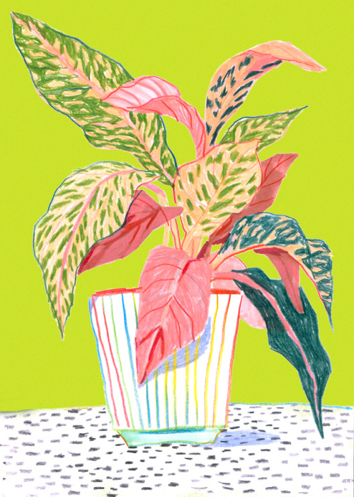 plants drawing | Tumblr