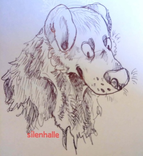 silenhalle:a good pen boy :3