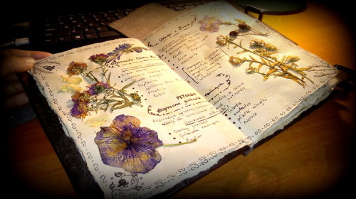 hanael-workshop:Do you remember my first  herbarium?  I made...