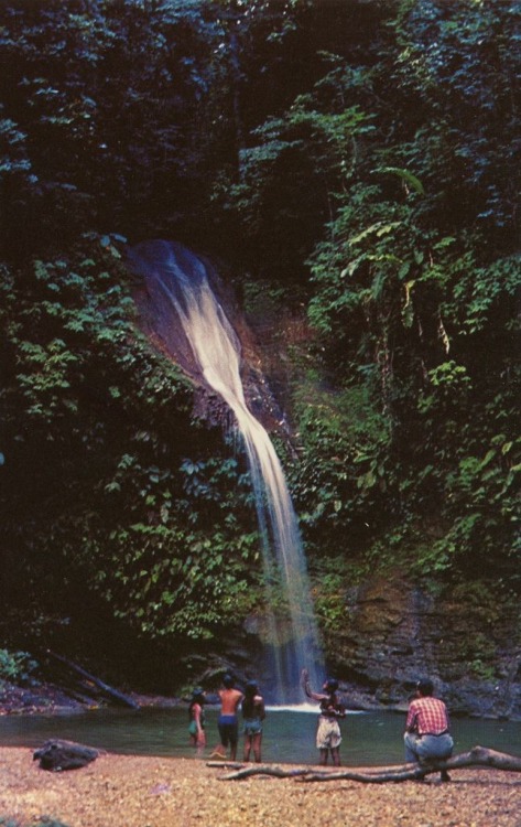 trinbagoculture:Blue Basin. Trinidad and Tobago.