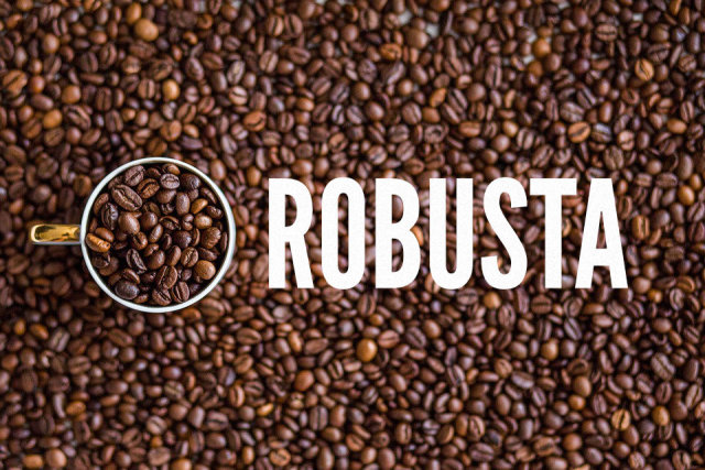 ROBUSTA Robusta-Kaffee macht circa 40% der... - ROAST POST BLOG