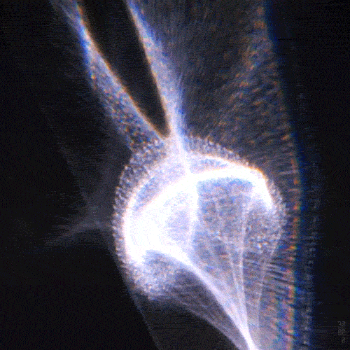 gif sun light glass refraction caustics