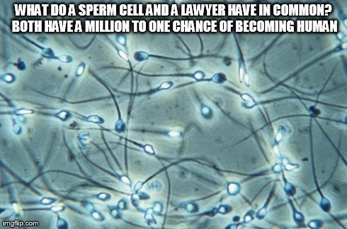 pond scum sperm Gyno sexy exams
