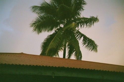 Nothing like hearing rain pattering on a galvanized roof. 