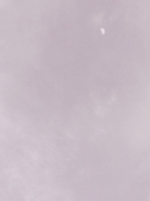 davienci: tryin to capture the moon while the skies turned into...