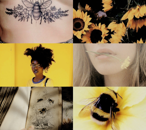 dvnwild:Witches:              ↳ Bee Witches