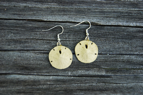 dubetteart:Made cute jewelry out of sand dollars! (None were...