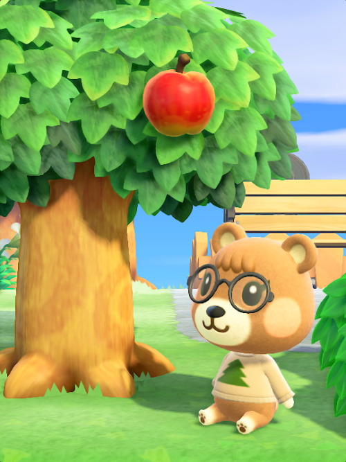 maple animal crossing maple animal crossing