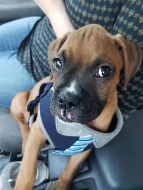 simplycute
