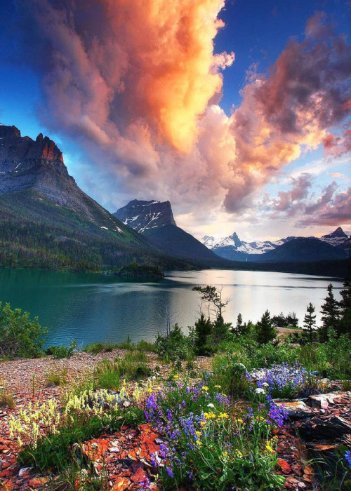 coiour-my-world:Summertime vibes ~ Glacier National,...