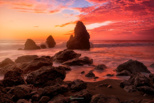 Rodeo Beach &Natural BridgesbyRyan Engstrom