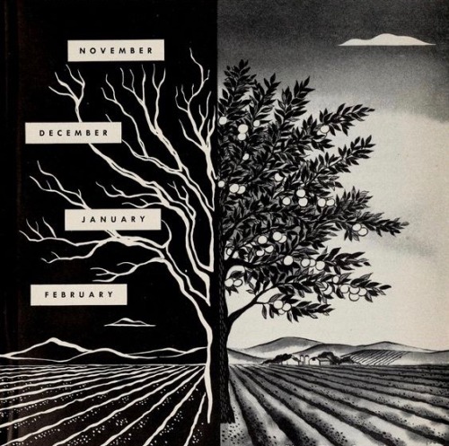 nemfrog:Circular 179. Cover art. Deciduous orchards in...