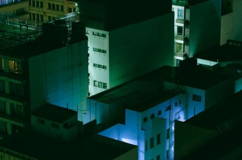 trefoiled:Johannesburg by Elsa Bleda