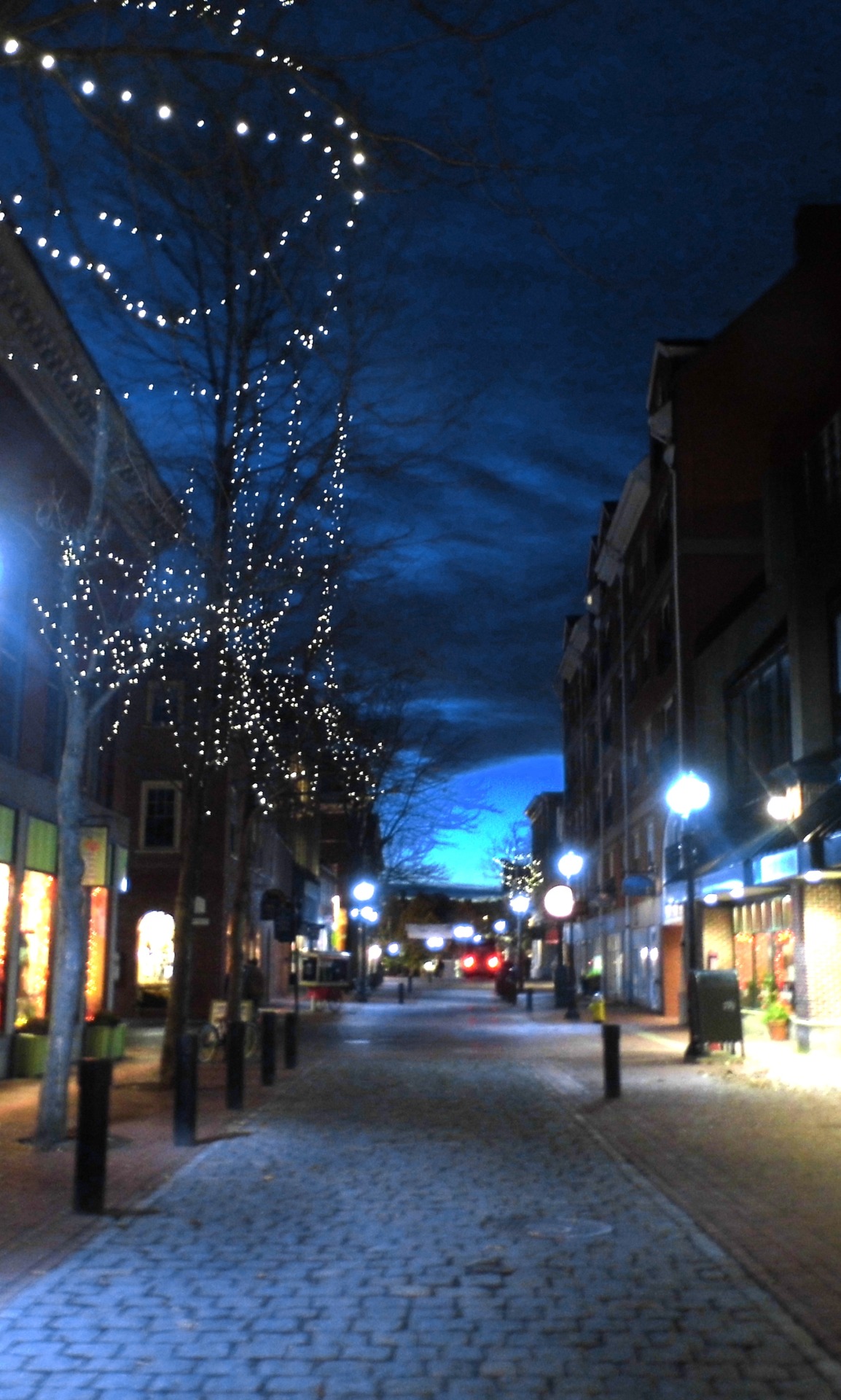 Visit North Shore Massachusetts , Christmas lights on Essex Street in