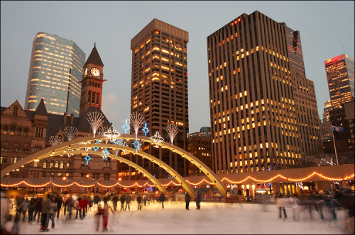 Why I Love Toronto
