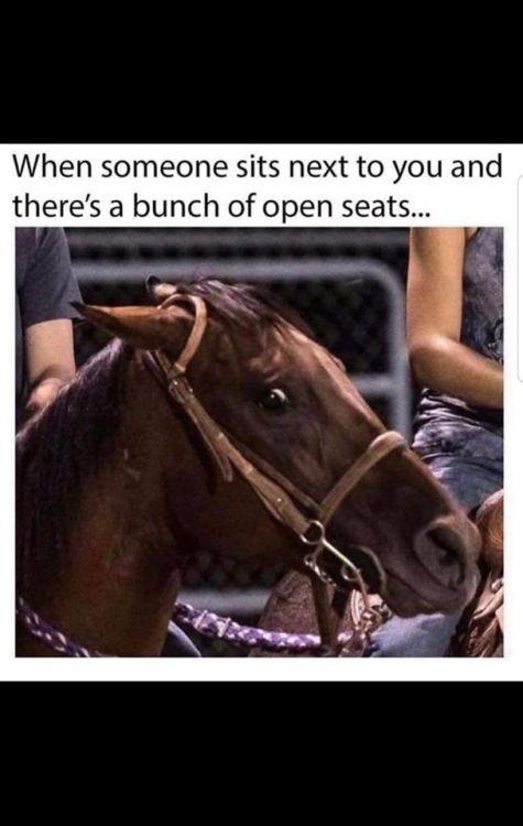studentlifeproblems