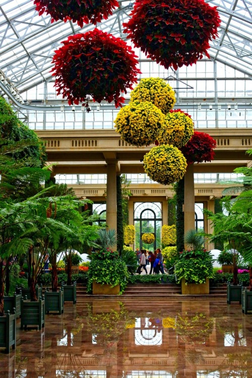 nncastle:On Saturday we spent the day in Longwood Gardens...