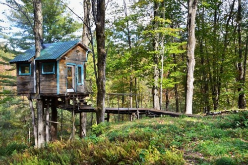 utwo:Tiny Treehouse In the Forest© mpora.com