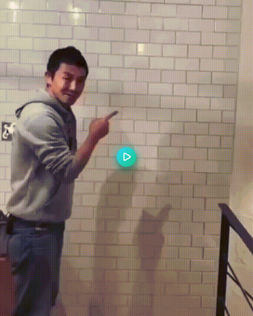 gifs-directory