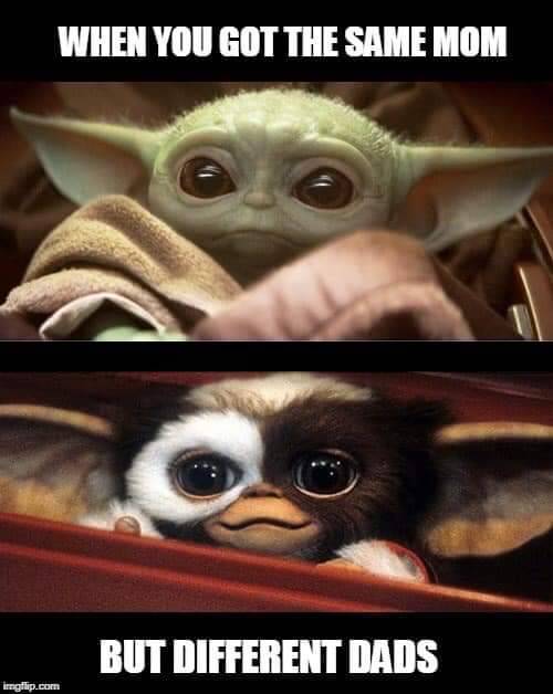 Baby Yoda Gremlin Meme Same Mom 10lilian