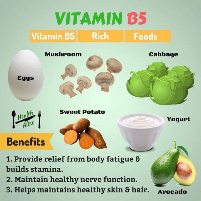 sashacoki:Vitamin Benefits - daily fit IMPACT