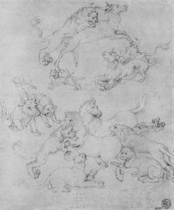 Study sheet with the attacked animals, Albrecht Durer