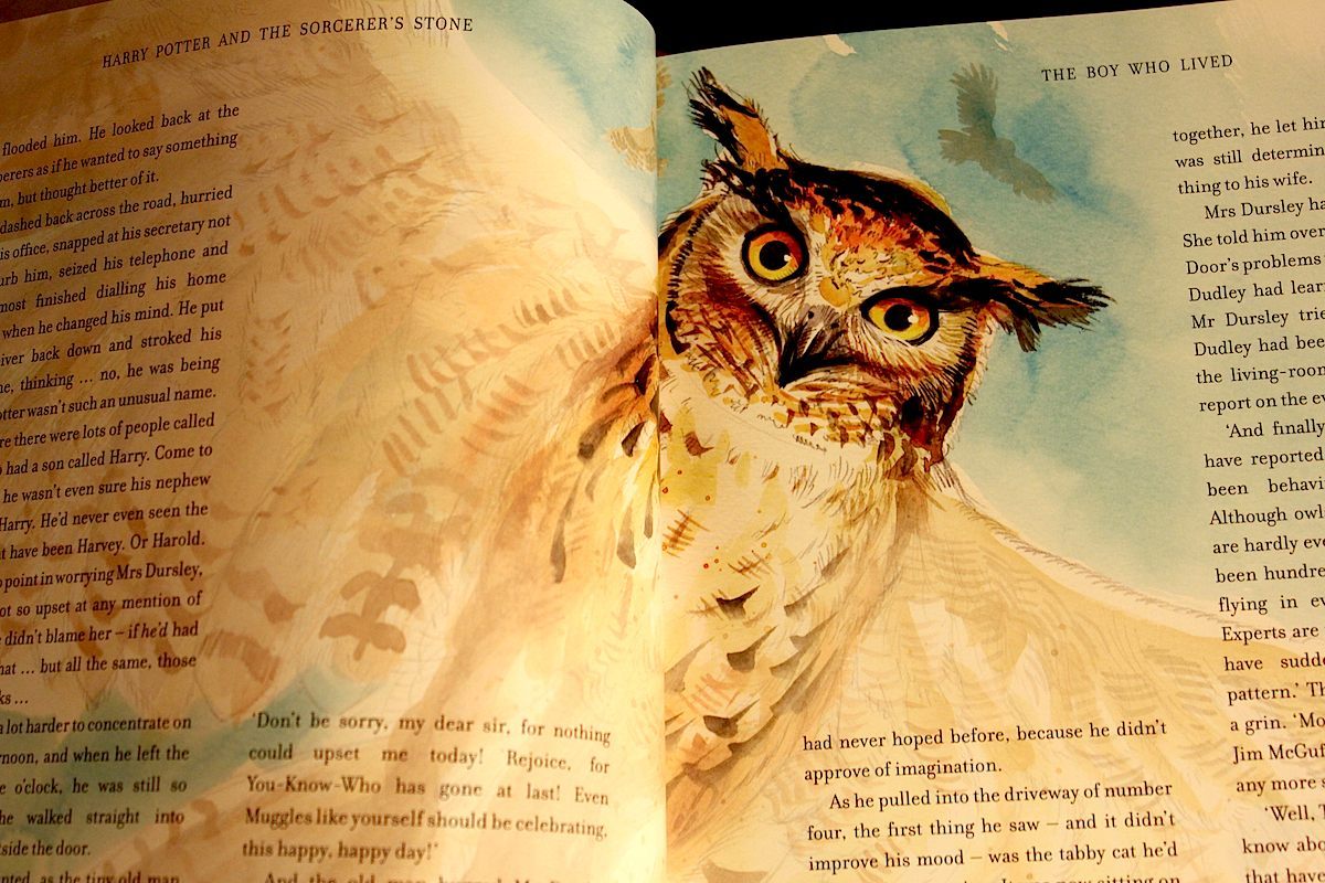 Harry Potter’s new illustrated edition is...