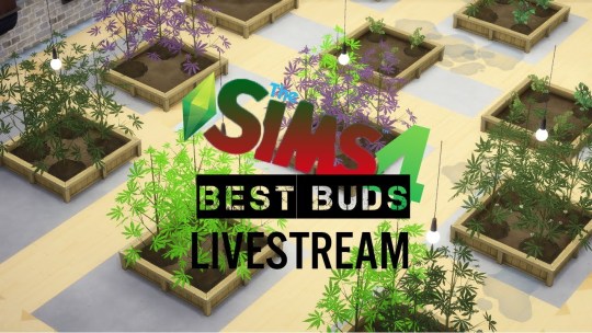 sims 4 smoking weed mod download