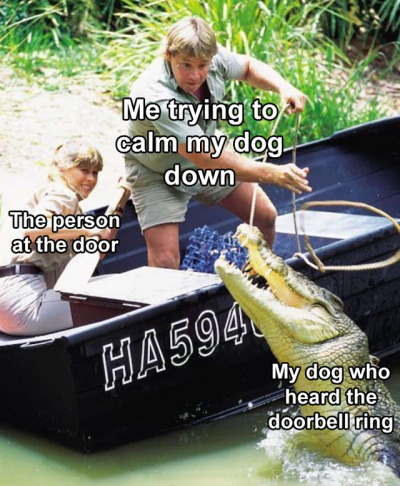 Dog Crocodile Tumblr