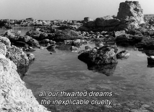 theprocessionofcelestialbeings:Persona (1966) | Dir: Ingmar...