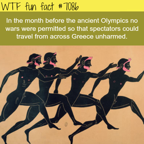 facts-about-the-ancient-olympics-wtf-fun-facts