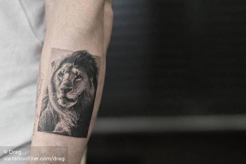 Tattoo tagged with: animal, astrology, drag, facebook, feline, forearm,  leo, lion, medium size, single needle, twitter, zodiac 