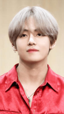 Grey Hair Taehyung Tumblr