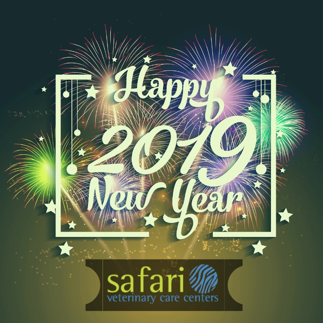 Safari Veterinary Care Centers — Happy New Year 2019 from