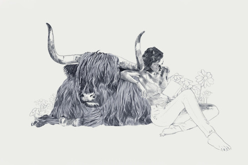 jennylizrome:“A Wandering Bull” - A Case Study into a...