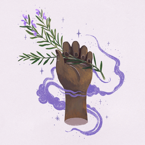 amandaherzman:first half of my herbal hand series gathered...