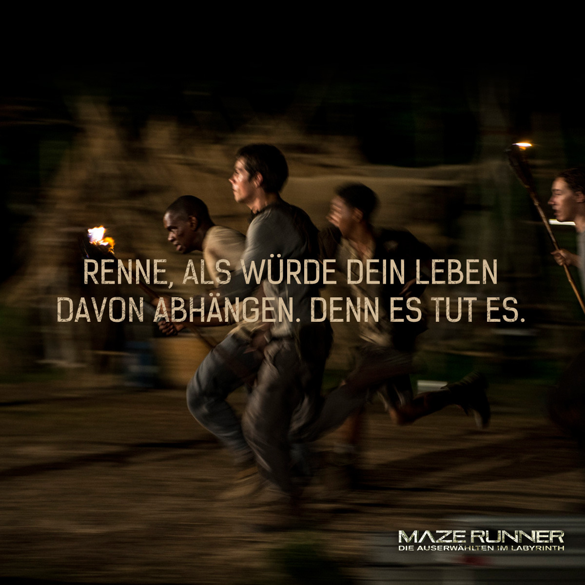 maze runner alle teile maze runner alle teile
