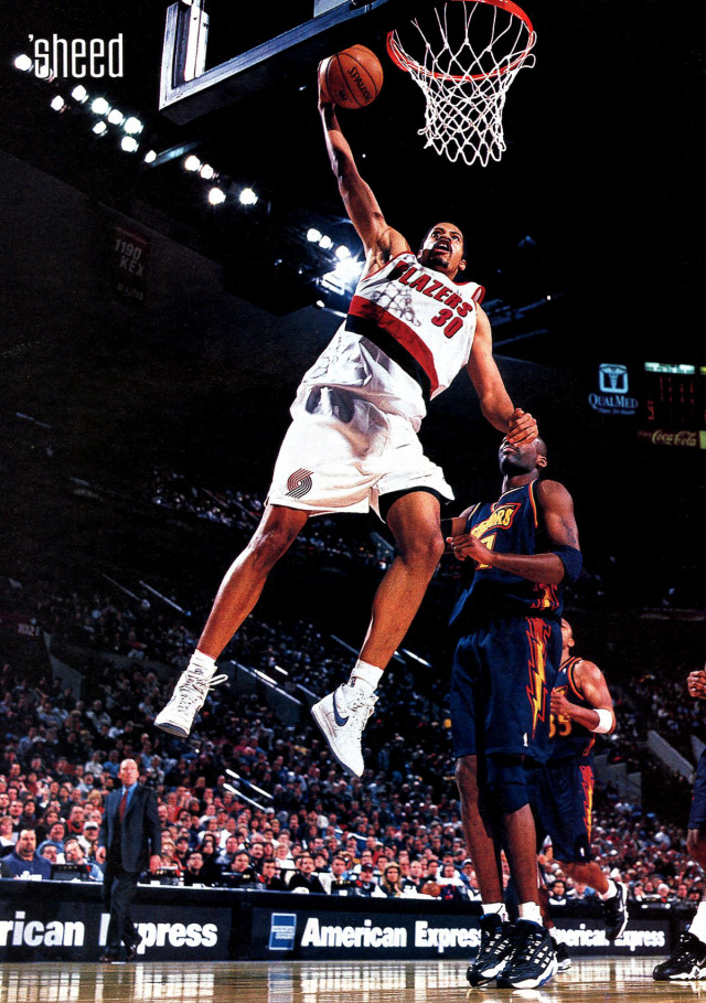 rasheed wallace nike