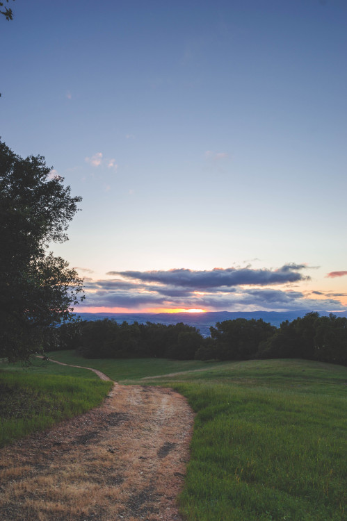 fionalanham:Let’s take a stroll // Petaluma,...