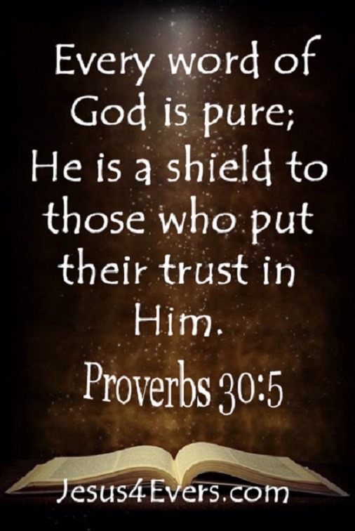 the-living-proverbs-30-5-nkjv-every-word-of-god-is-pure